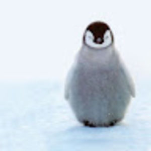 Meet your Posher, Gabriel